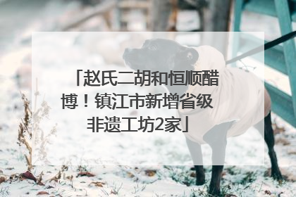 赵氏二胡和恒顺醋博！镇江市新增省级非遗工坊2家