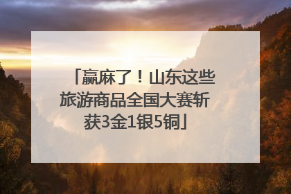 赢麻了！山东这些旅游商品全国大赛斩获3金1银5铜