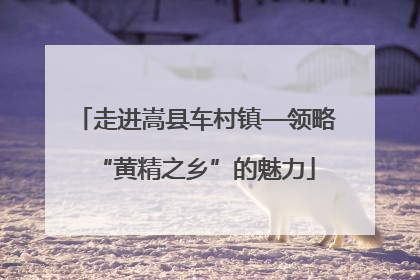 走进嵩县车村镇—领略“黄精之乡”的魅力