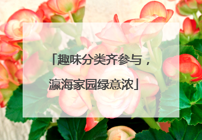 趣味分类齐参与，瀛海家园绿意浓