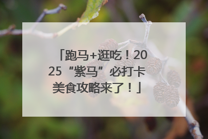 跑马+逛吃！2025“紫马”必打卡美食攻略来了！