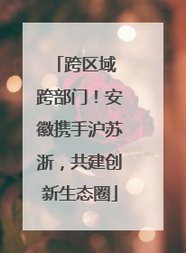 跨区域 跨部门！安徽携手沪苏浙，共建创新生态圈