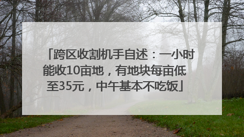 跨区收割机手自述：一小时能收10亩地，有地块每亩低至35元，中午基本不吃饭