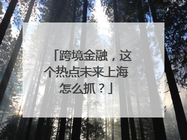 跨境金融，这个热点未来上海怎么抓？