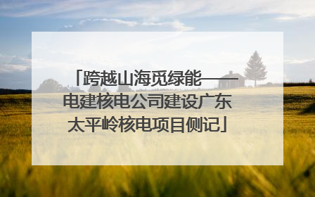 跨越山海觅绿能——电建核电公司建设广东太平岭核电项目侧记