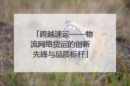 跨越速运——物流网络货运的创新先锋与品质标杆