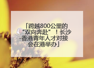 跨越800公里的“双向奔赴”！长沙-香港青年人才对接会在港举办