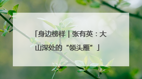 身边榜样｜张有英：大山深处的“领头雁”