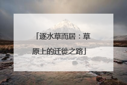 逐水草而居：草原上的迁徙之路