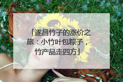 遂昌竹子的涨价之旅：小竹叶包粽子，竹产品走四方
