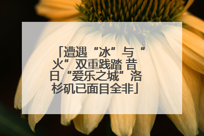 遭遇“冰”与“火”双重践踏 昔日“爱乐之城”洛杉矶已面目全非