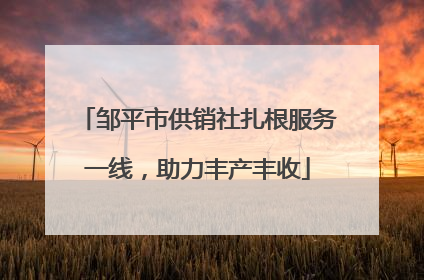 邹平市供销社扎根服务一线，助力丰产丰收