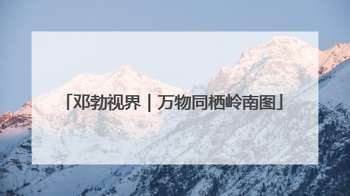 邓勃视界｜万物同栖岭南图