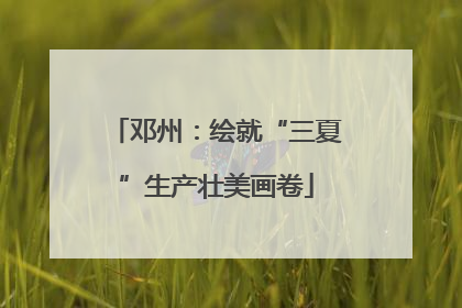 邓州：绘就“三夏”生产壮美画卷