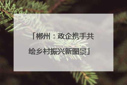 郴州：政企携手共绘乡村振兴新图景