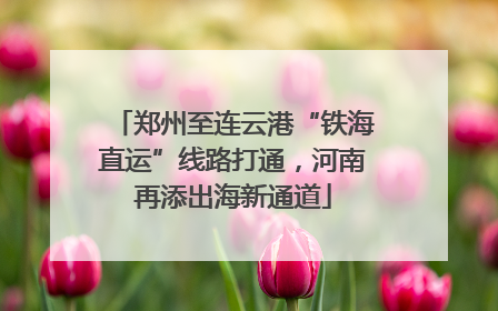 郑州至连云港“铁海直运”线路打通，河南再添出海新通道