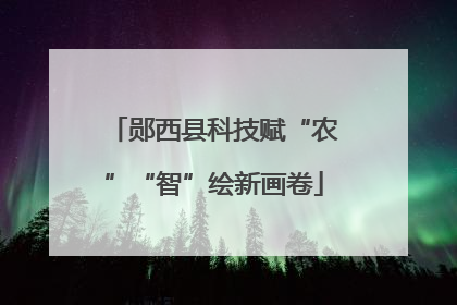 郧西县科技赋“农”“智”绘新画卷