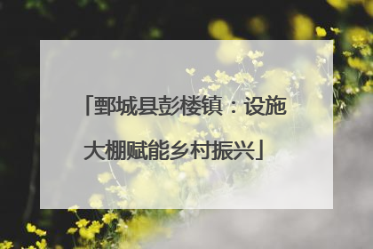 鄄城县彭楼镇：设施大棚赋能乡村振兴