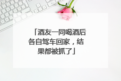 酒友一同喝酒后各自驾车回家，结果都被抓了