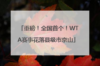 重磅！全国首个！WTA赛事花落县级市京山