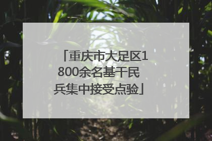 重庆市大足区1800余名基干民兵集中接受点验