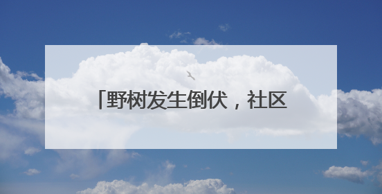 野树发生倒伏，社区4小时消除安全隐患