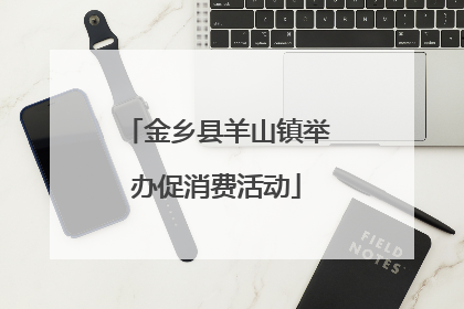 金乡县羊山镇举办促消费活动