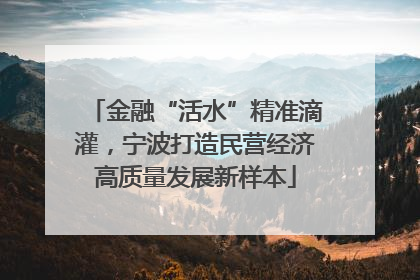 金融“活水”精准滴灌，宁波打造民营经济高质量发展新样本