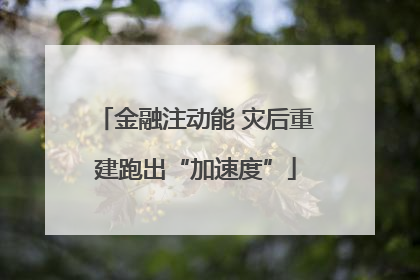 金融注动能 灾后重建跑出“加速度”