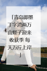 青岛即墨丁字湾两万亩蛏子迎来收获季 每天万斤上岸