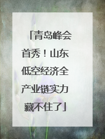 青岛峰会首秀！山东低空经济全产业链实力藏不住了