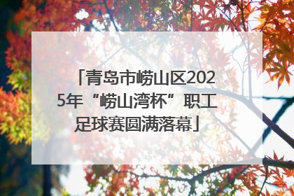 青岛市崂山区2025年“崂山湾杯”职工足球赛圆满落幕