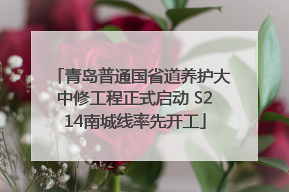 青岛普通国省道养护大中修工程正式启动 S214南城线率先开工