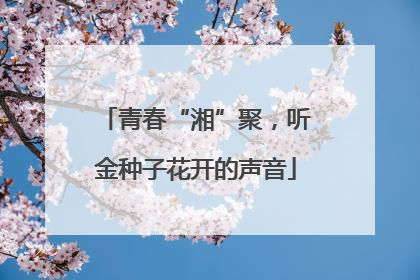 青春“湘”聚，听金种子花开的声音