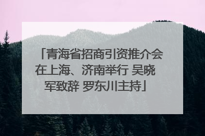 青海省招商引资推介会在上海、济南举行 吴晓军致辞 罗东川主持