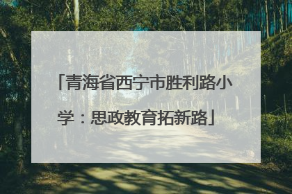 青海省西宁市胜利路小学：思政教育拓新路