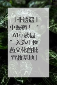 非遗遇上中医药！“AI草药园”入选中医药文化首批宣教基地
