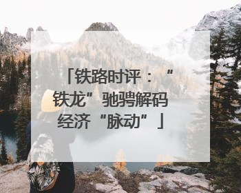 铁路时评：“铁龙”驰骋解码经济“脉动”