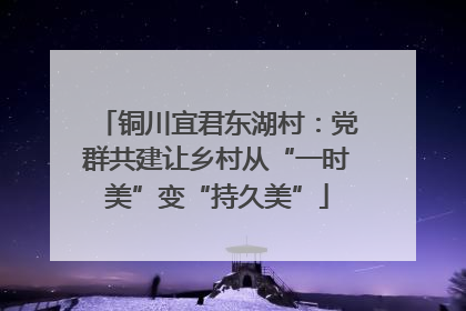 铜川宜君东湖村：党群共建让乡村从“一时美”变“持久美”