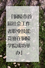 铜陵市首届社会工作者职业技能竞赛在铜陵学院成功举办