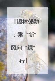 锡林郭勒：乘“新”风向“绿”行