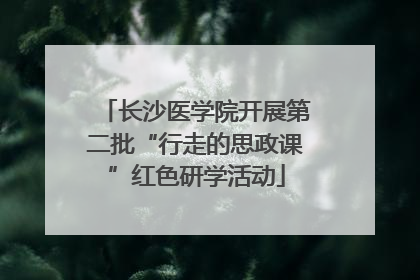 长沙医学院开展第二批“行走的思政课”红色研学活动