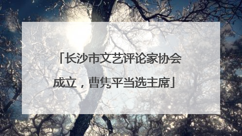 长沙市文艺评论家协会成立，曹隽平当选主席