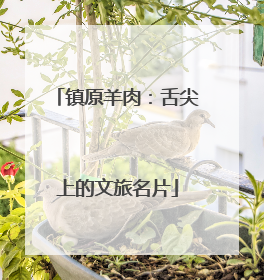 镇原羊肉：舌尖上的文旅名片