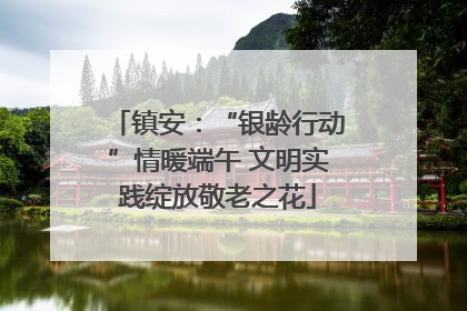 镇安：“银龄行动”情暖端午 文明实践绽放敬老之花