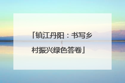 镇江丹阳：书写乡村振兴绿色答卷