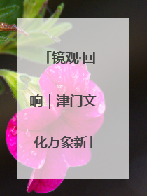 镜观·回响｜津门文化万象新