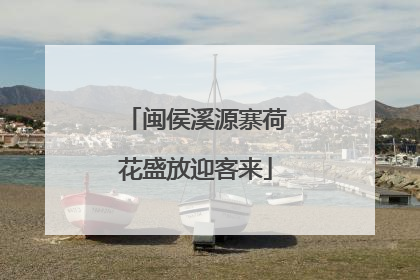 闽侯溪源寨荷花盛放迎客来