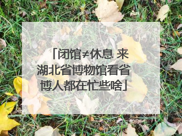 闭馆≠休息 来湖北省博物馆看省博人都在忙些啥