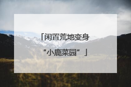 闲置荒地变身“小鹿菜园”